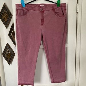 Maurices Pink Distressed Stretch Plus Size Jeans 26W Regular